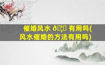 催婚风水 🦍 有用吗(风水催婚的方法有用吗)